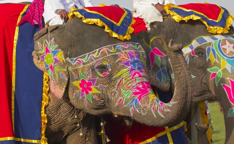 Balade à dos d’éléphant (à Dera Amer, à 30 min de Jaipur)