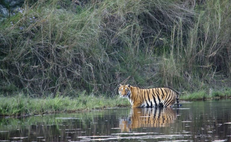 Découverte du Parc National de Chitwan